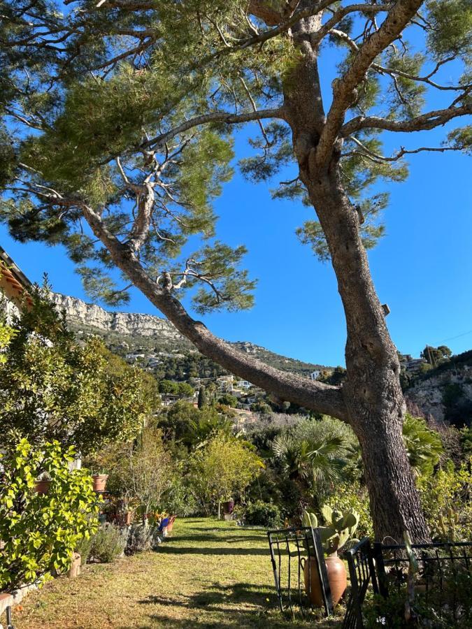Hotel La Masa Èze Esterno foto